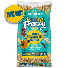 Feeding Frenzy Finch Favorite