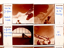 Set di 16 viste stereo su