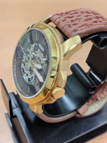 Fossil grant me3102 scheletro - fossil,