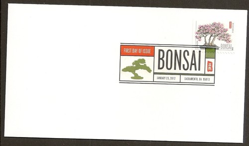 4622 bonsai azalea - us, dcp
