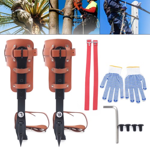 Set punte arrampicata - arrampicata, albero