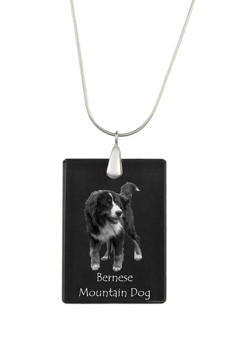 Bovaro bernese dürrbächler - bernese,,