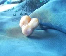 🤍 ANELLO PERLA BIWA