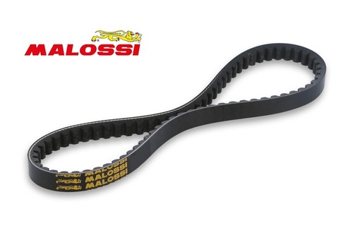 Cinghia malossi piaggio free - malossi,