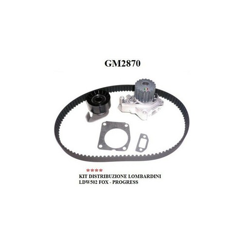 Distribuzione kit lombardini - distribuzione,