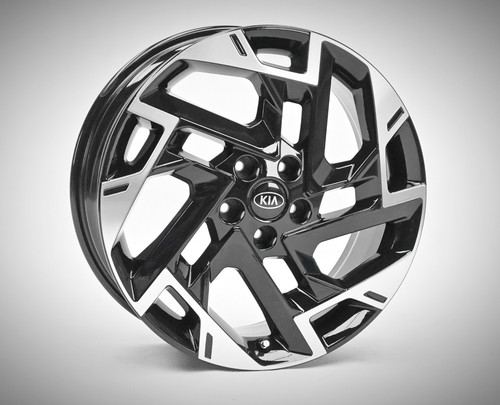 Cerchi lega kia sportage - in,