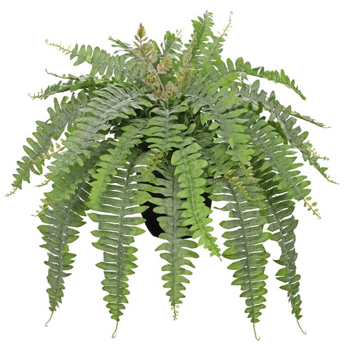 Hollyone pianta artificiale - hollyone,