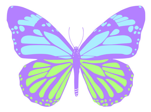 Adesivi auto sticker - adesivi,