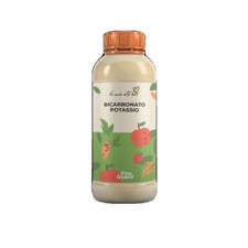 BICARBONATO DI POTASSIO 1KG