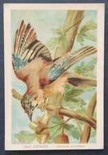 Immagine cromata GEAI D EUROPE