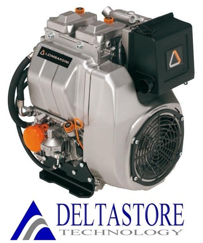 Motore diesel 25ld425 - motore,
