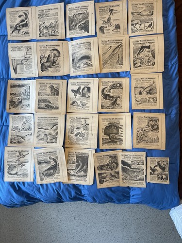 Ritagli giornale vintage - ritagli, di