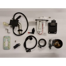 Kit Iniezione Motore ZS300