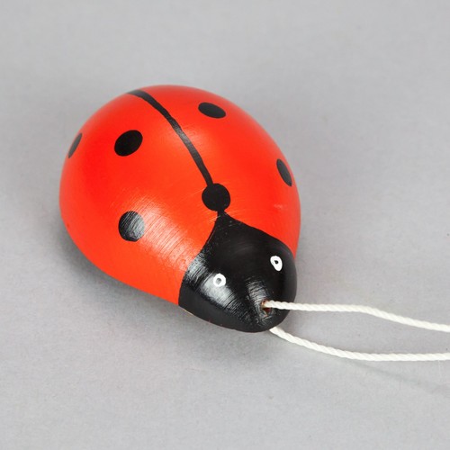 Coccinella ladybug gioco - ladybug,