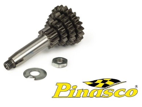 25270900 pinasco cambio - 25270900, 4
