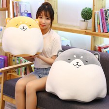Cute Pudding Shiba Inu Dog