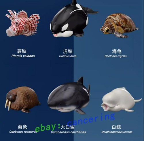 Animal planet marine life - animal,