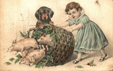 MAIALINI, PIGLETS - V.K. Vienne n° 5014 - Bassotto, Dachshund - VG - #058