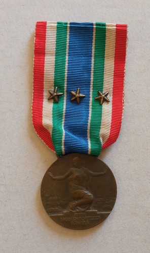 Wwi medal medaglia bronzo - medaglia, in