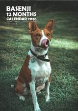 Calendario Basenji A3 2026