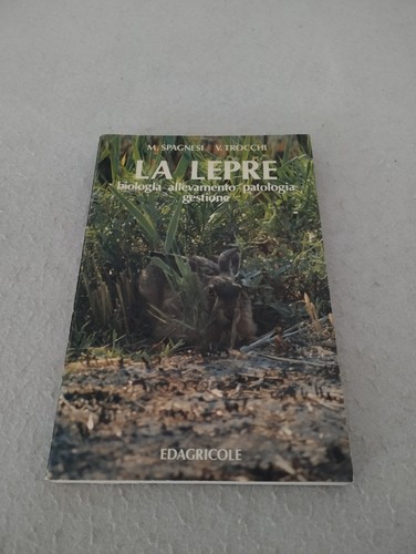 Lepre spagnesi e - lepre,