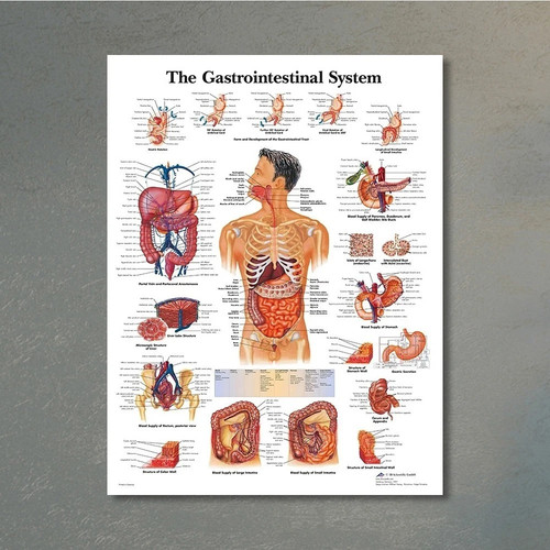 Poster stampa tela the - poster,