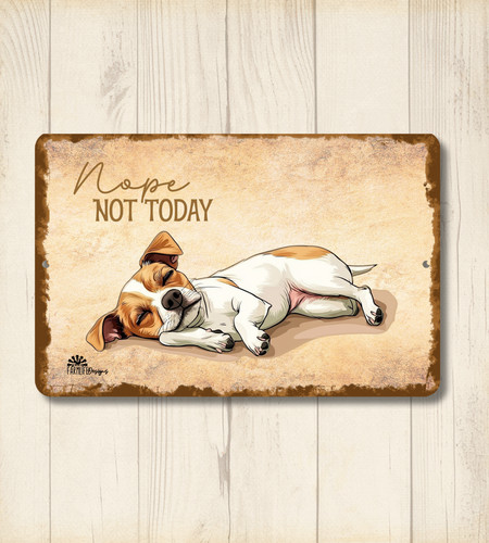 Insegna jack russell terrier - jack,
