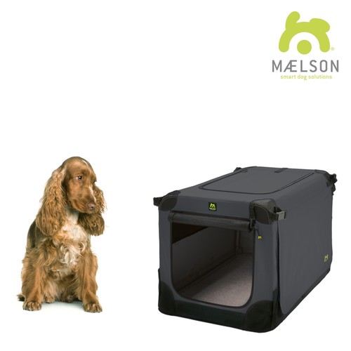 Maelson morbido kennel - maelson,