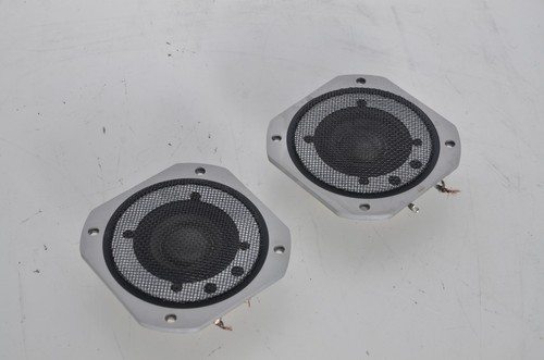 Coppia driver altoparlanti