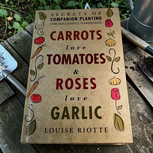 Carrots love tomatoes roses - &,