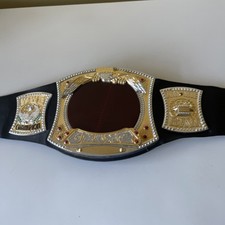 Cintura spinner WWE Electronic