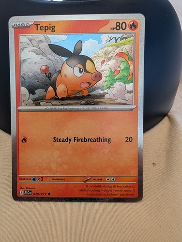 Tepig 029 217 - (friend, 029/217