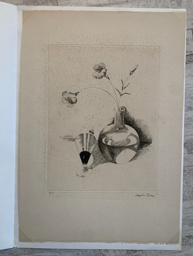 John morin natura - morin,