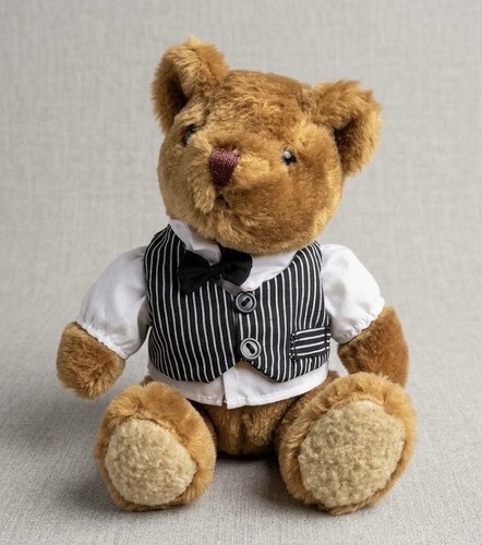 Orsetto peluche the teddy bear - peluche,