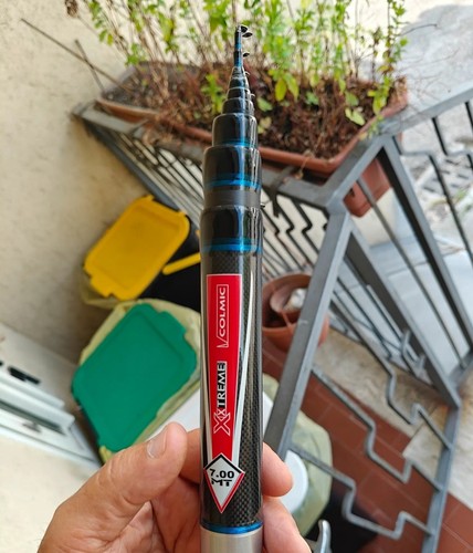 Canna bolognese colmic - canna, 250