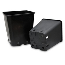 Vaso quadro da - 10,
