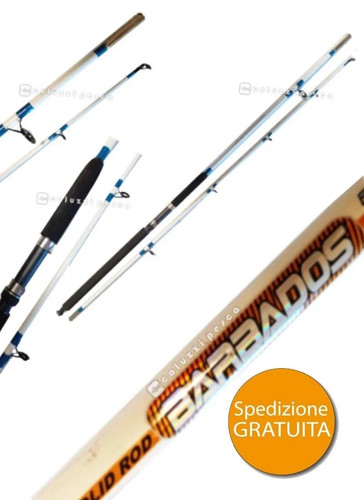 Canna leader line barbados - leader,