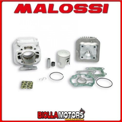317559 gruppo termico - 317559,
