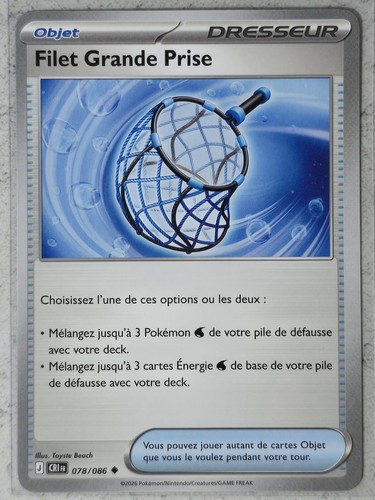 Carte pokemon filet grande - carte,