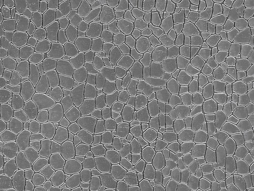 Auhagen 52427 piastra - auhagen, plastica