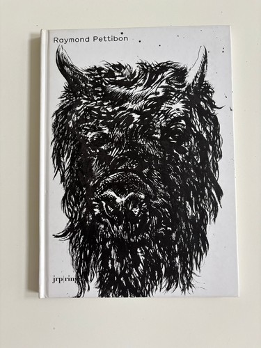 Raymond pettibon whuytuyp - pettibon:,