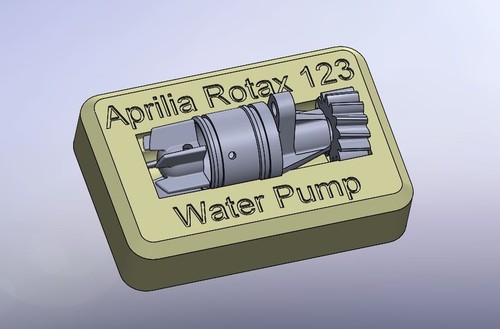 Rotax 123 aprilia 125 - aprilia, water