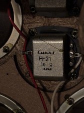 Coppia driver tromba H-21