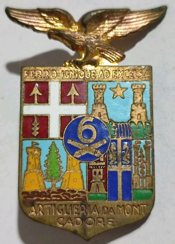 Distintivo reggimento - distintivo, 6