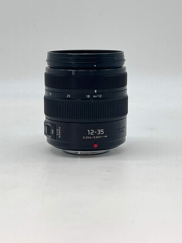 Panasonic lumix vario - x,