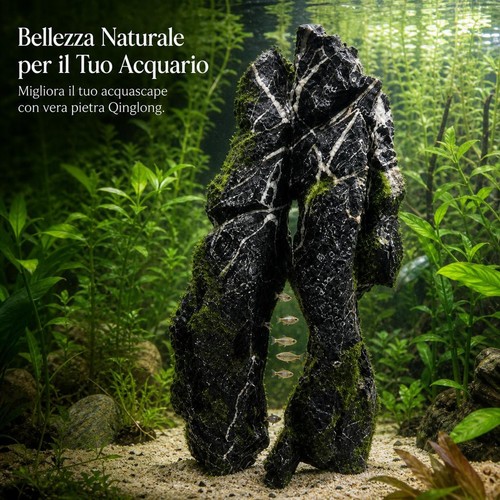 Pietra acquario per - acquario,
