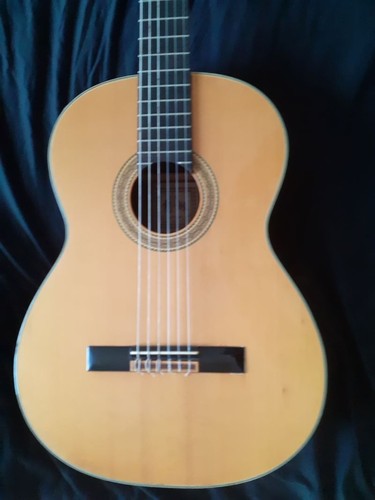 Chitarra classica takamine - takamine, c