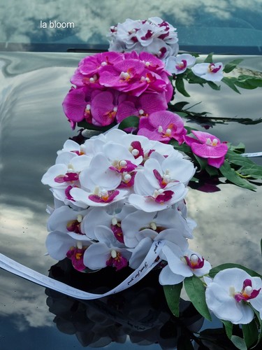 Decorazione auto matrimonio - auto,