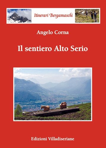 Libri corna angelo il - angelo,