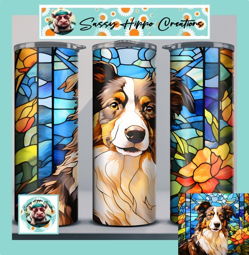 Bicchiere magro collie cane